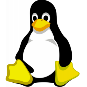 Tux is een graag geziene gast bij de organisaties die aangsloten zijn bij de koepelorganisatie Linux in Nederland.